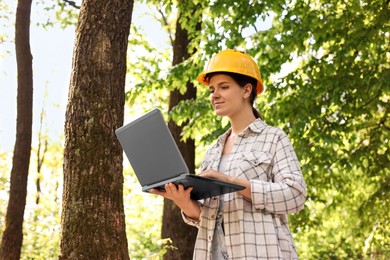 Forester in hard hat with laptop working in forest