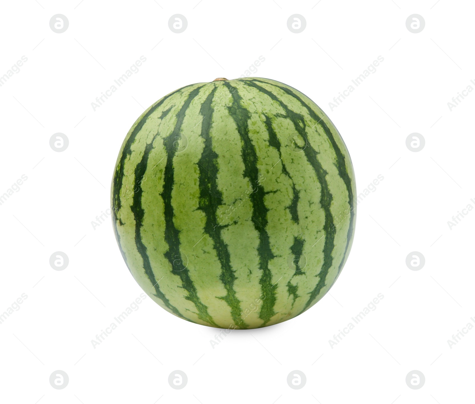 Photo of One whole ripe watermelon isolated on white