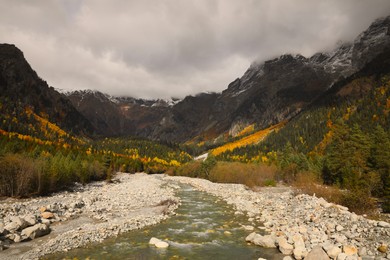 Photo of Picturesque view of river in mountains with forest on autumn day