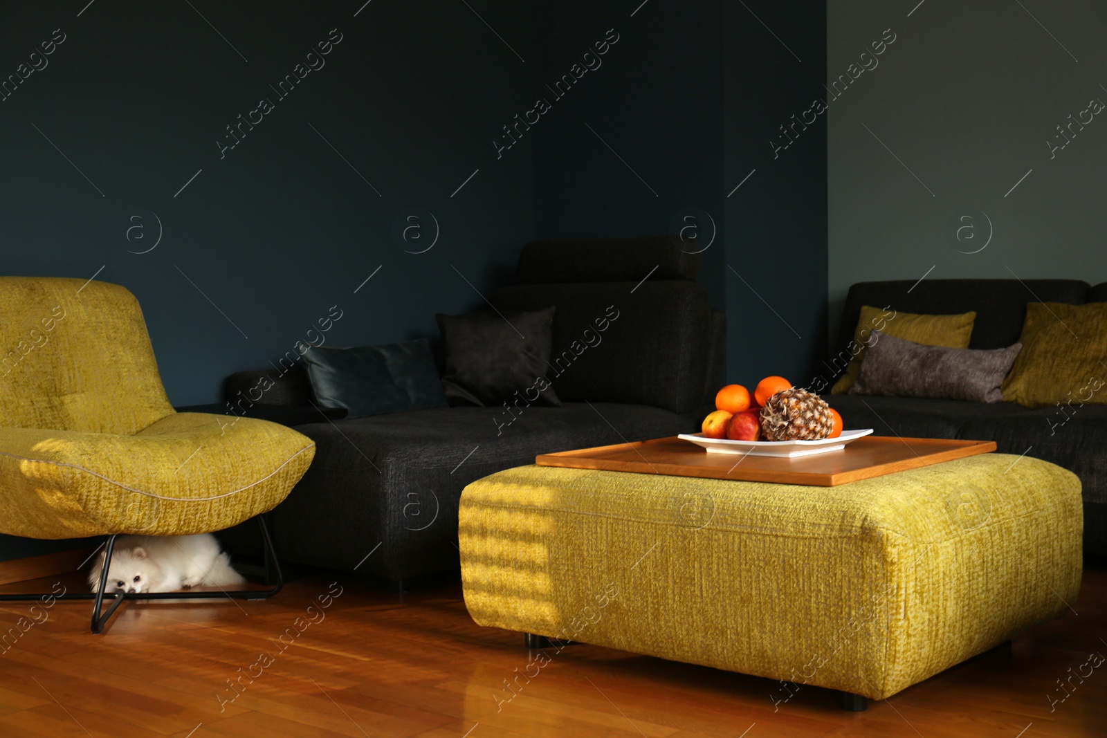 Photo of Stylish furniture and cute Pomeranian dog in living room