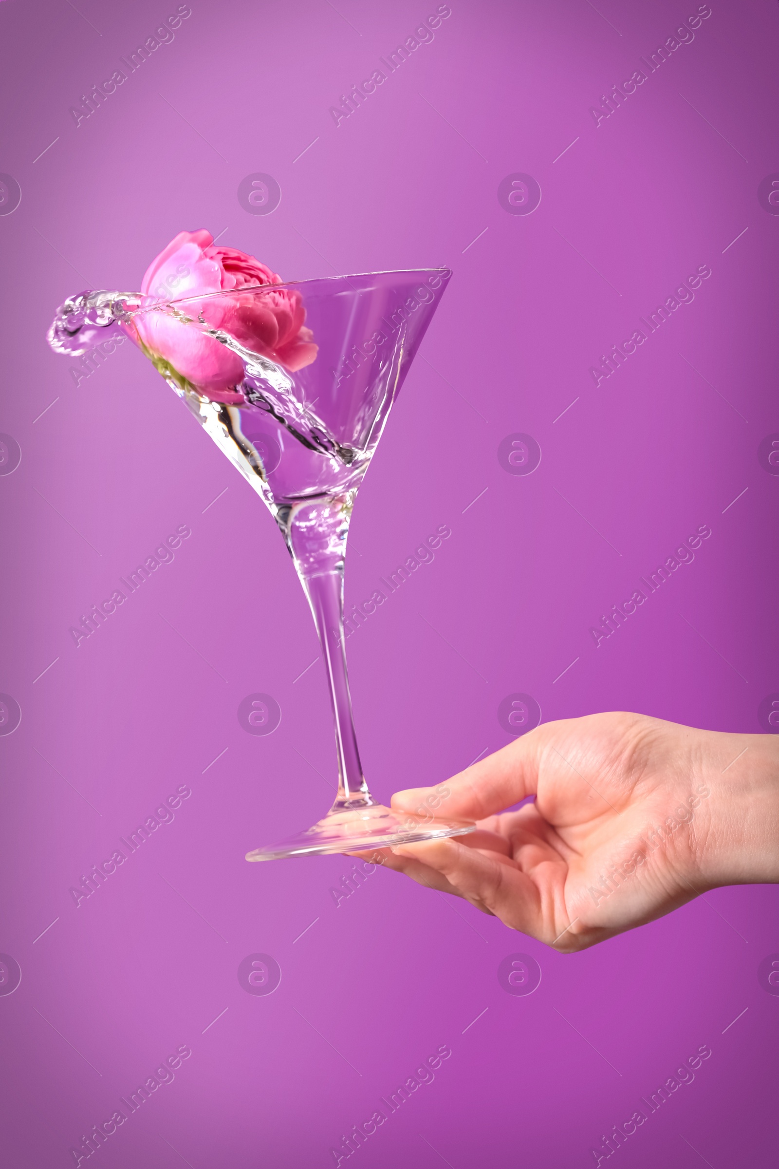 Photo of Woman holding martini glass with water and pink flower on violet background, closeup