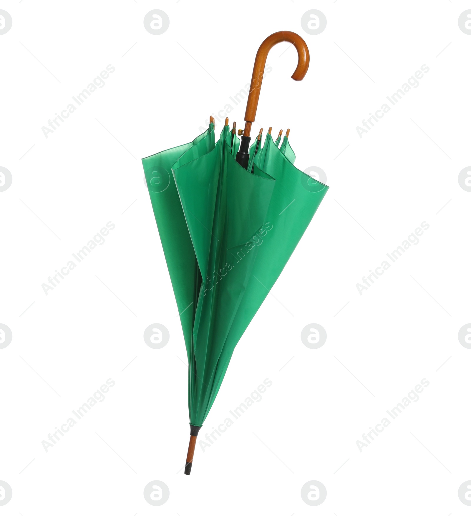 Photo of Beautiful umbrella on white background