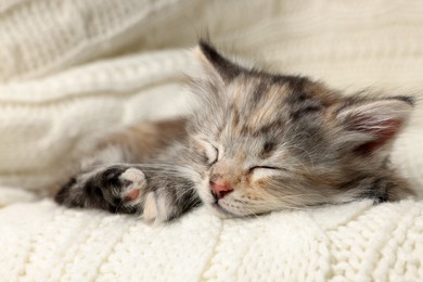 Photo of Cute kitten sleeping on white knitted blanket