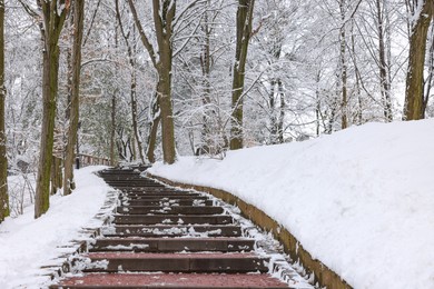 Photo of Beautiful trees covered with snow and stairs in winter park