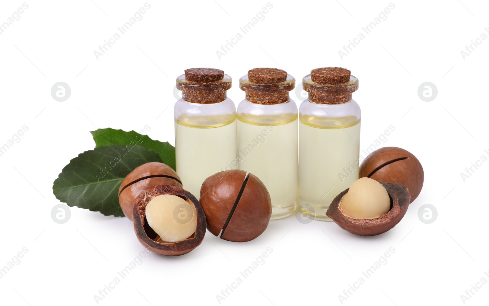 Photo of Delicious organic Macadamia nuts, natural oil and green leaves isolated on white