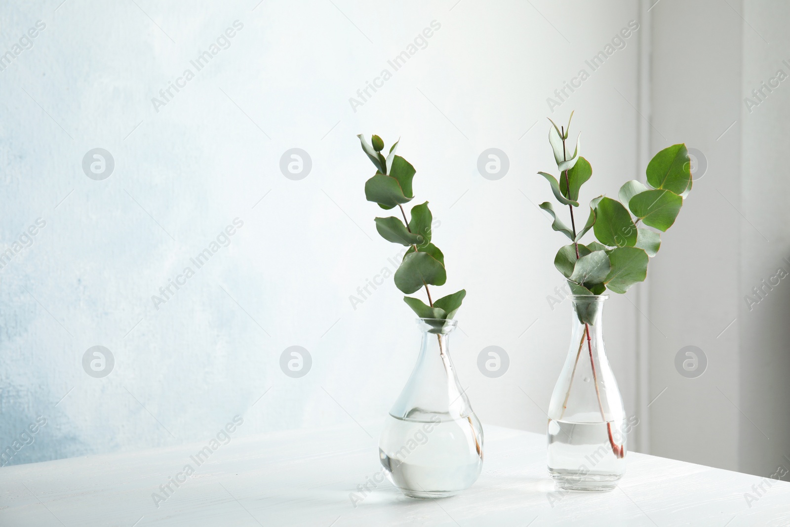 Photo of Eucalyptus branches with fresh leaves in vases on table