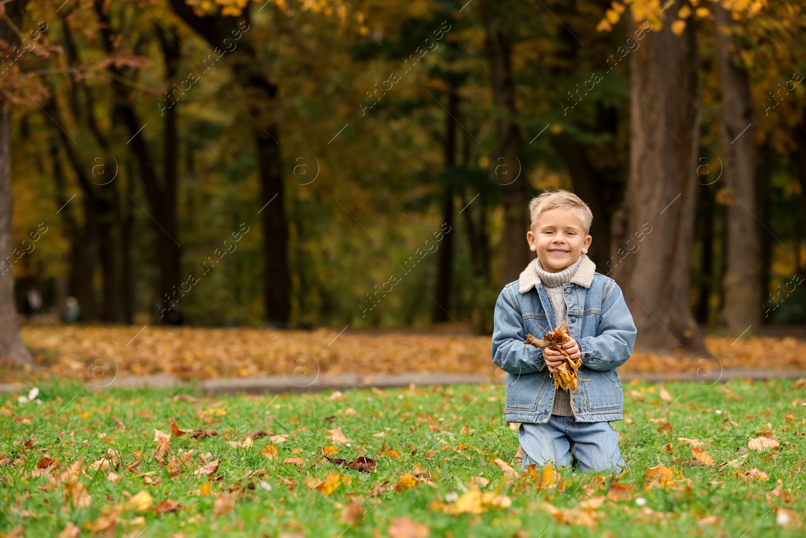 Photo of Happy boy with dry leaves on green grass in autumn park, space for text