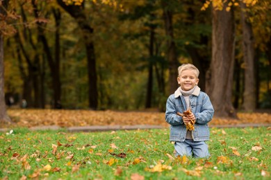 Happy boy with dry leaves on green grass in autumn park, space for text