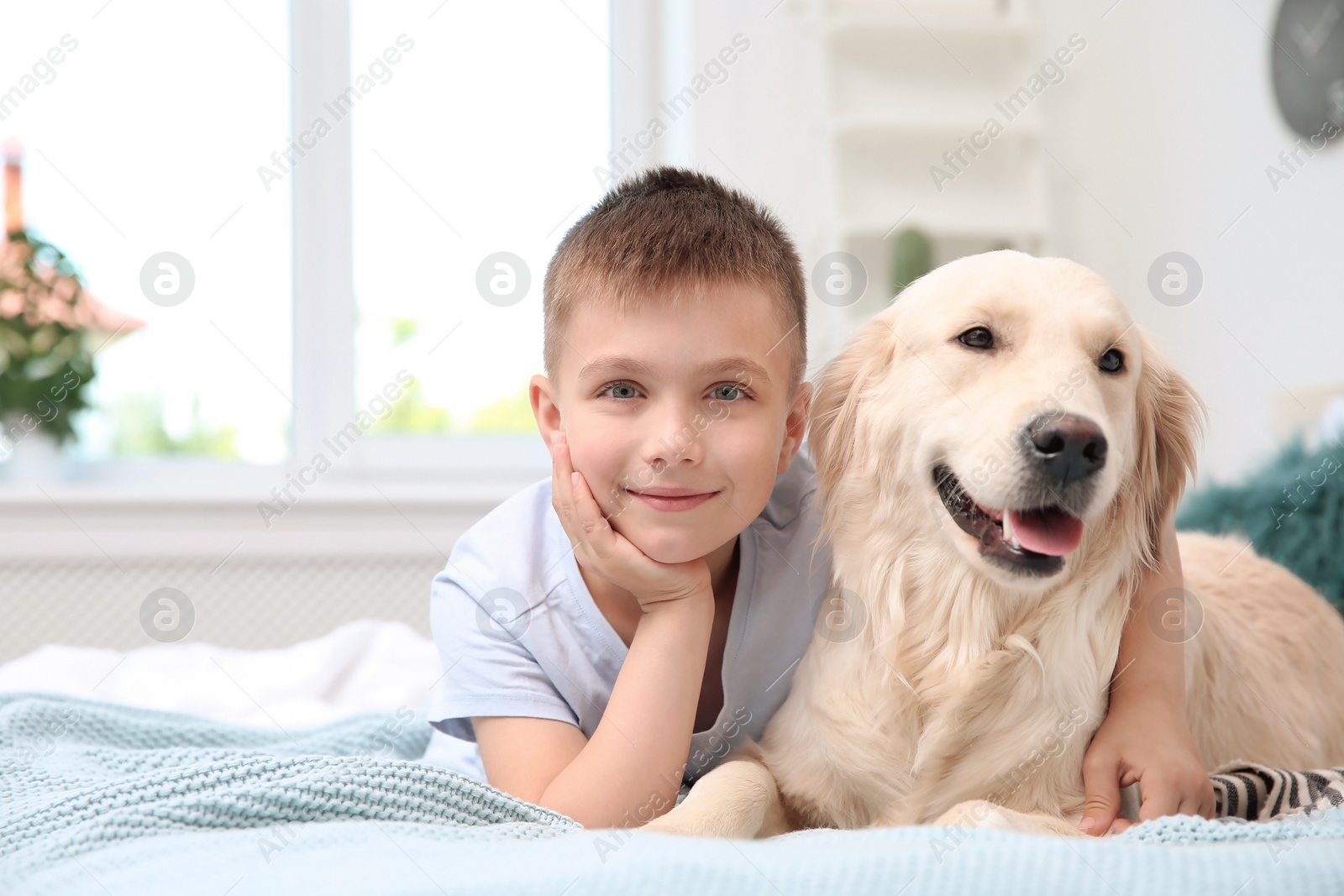 Photo of Cute little child with his pet on bed at home