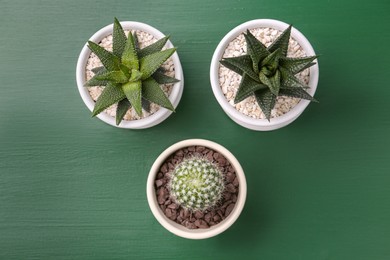 Photo of Different succulent plants in pots on green wooden table, flat lay