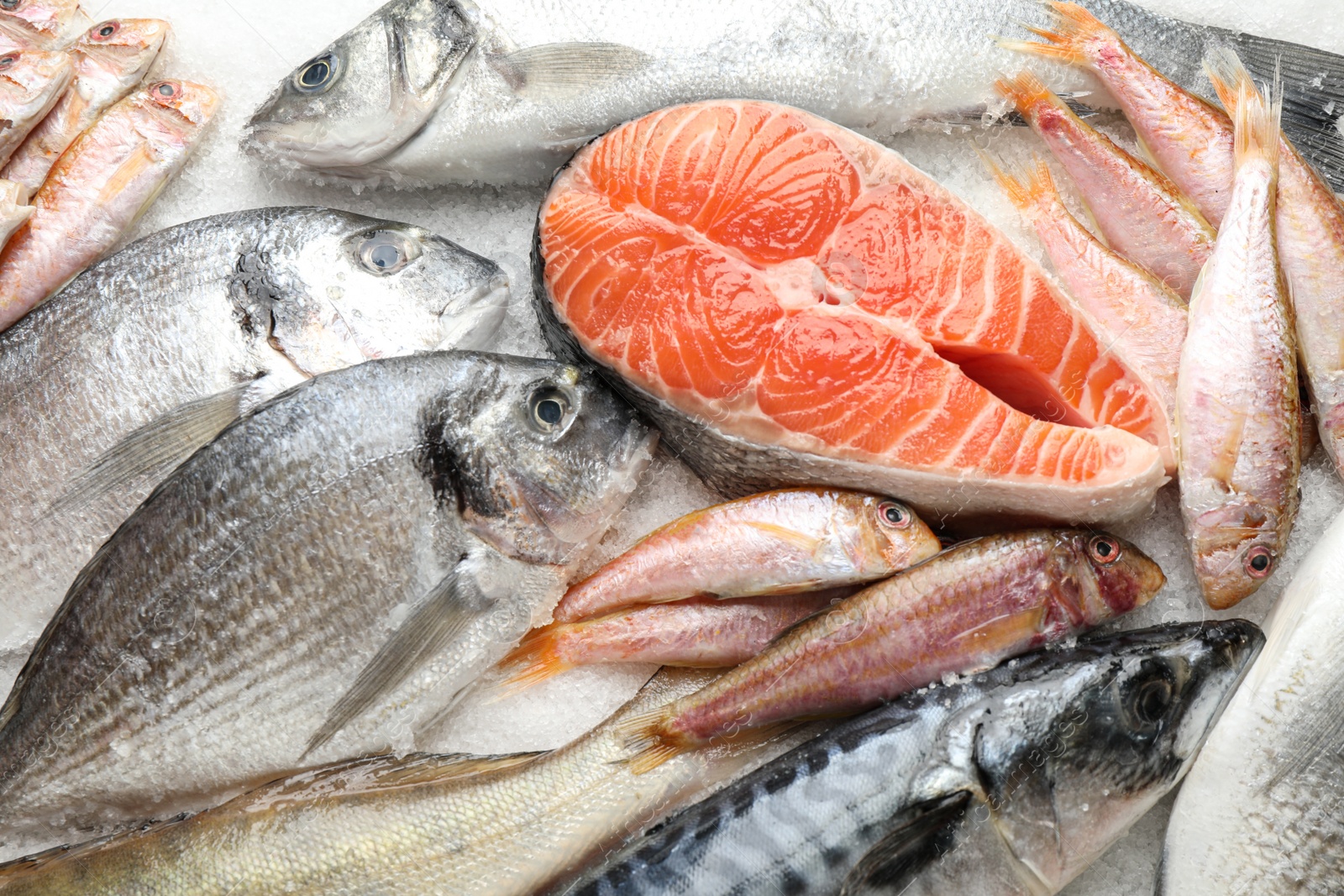 Photo of Fresh fish and seafood on ice, closeup