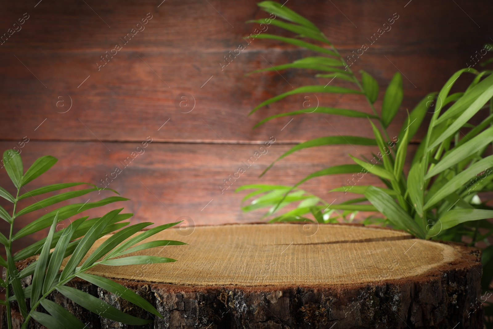 Photo of Presentation of product. Stamp and green leaves on wooden background. Space for text