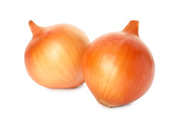 Two fresh unpeeled onions on white background