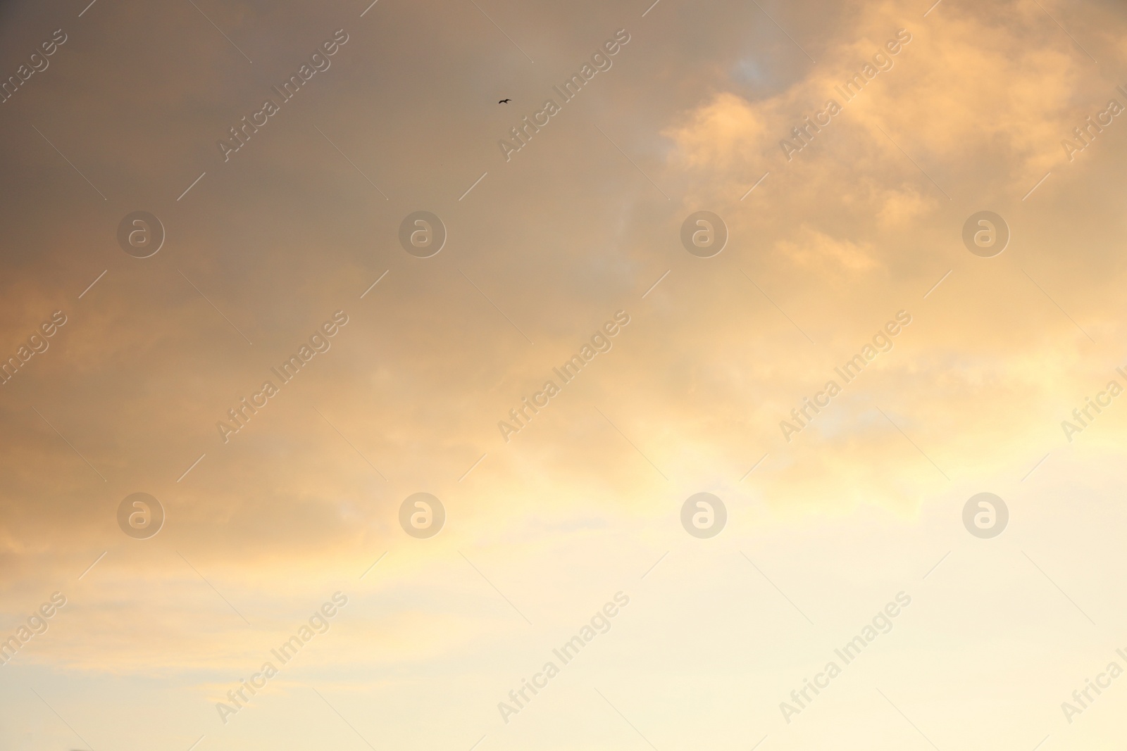 Photo of Picturesque view of beautiful sky with clouds. Sunny weather
