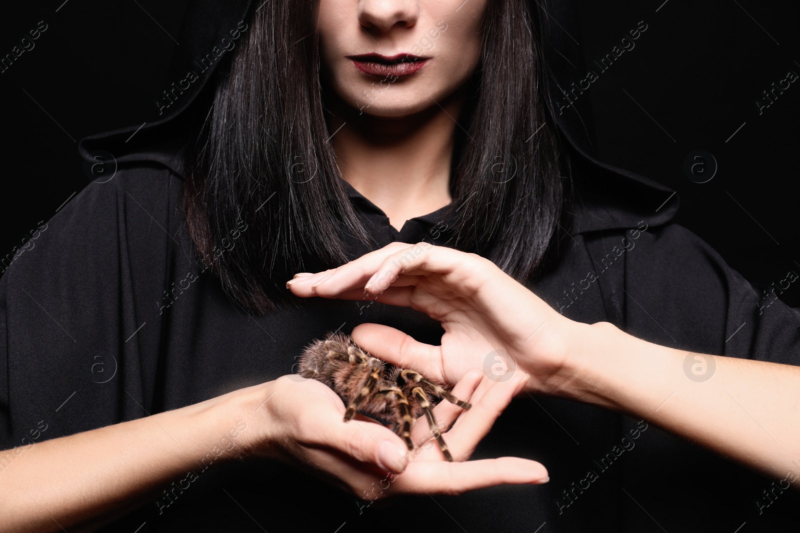 Photo of Mysterious witch with spooky spider on black background, closeup