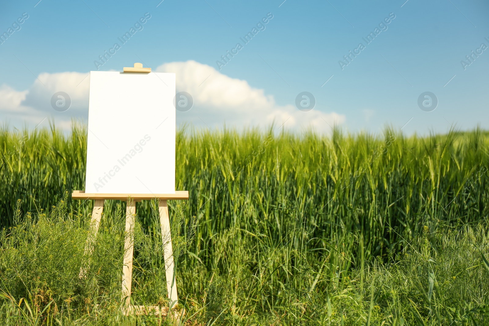 Photo of Wooden easel with blank canvas in picturesque green field on sunny day. Space for text