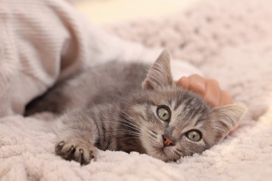 Photo of Cute little girl with kitten on white blanket, closeup. Childhood pet