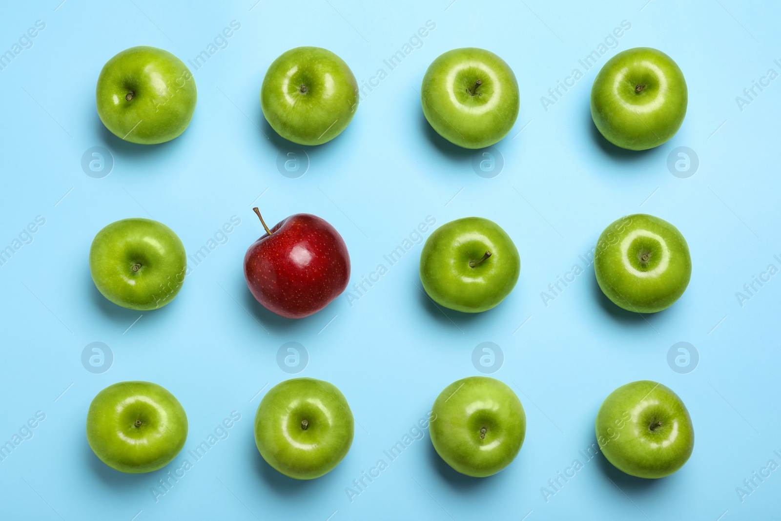 Photo of Tasty green apples and red one on light blue background, flat lay