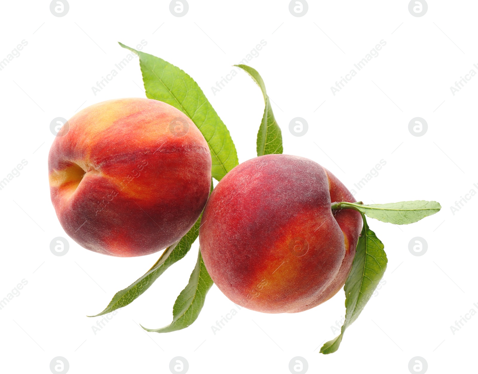 Photo of Delicious ripe juicy peaches with leaves isolated on white, top view