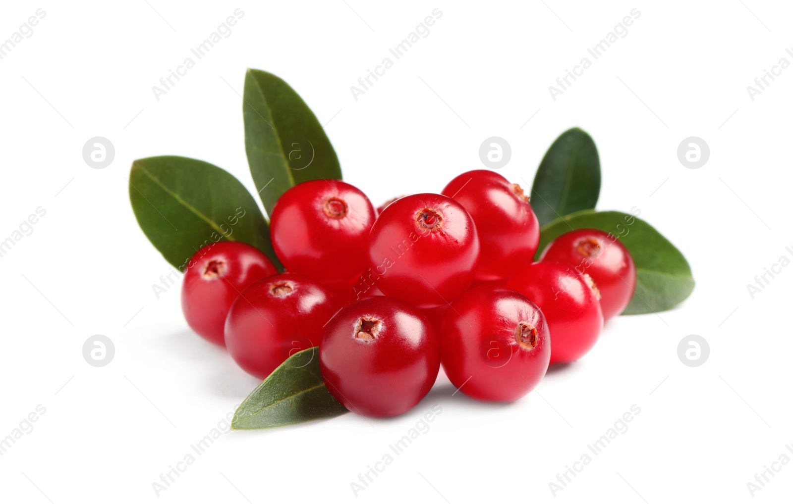 Photo of Pile of fresh cranberries with green leaves on white background