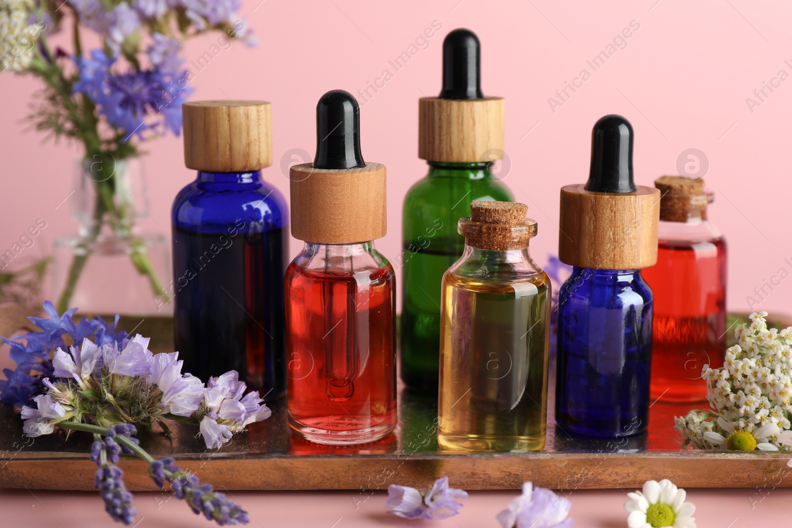 Photo of Aromatherapy. Different essential oils and flowers on pink background