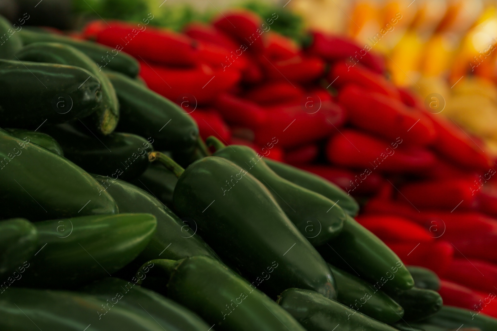 Photo of Heap of fresh green Serrano peppers on counter at market, closeup. Space for text