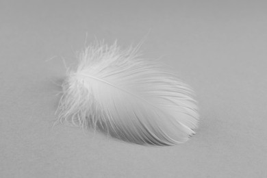 Photo of Fluffy white feather on light grey background, closeup