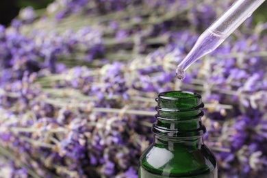 Photo of Natural essential oil dripping from pipette into bottle against lavender flowers, closeup. Space for text