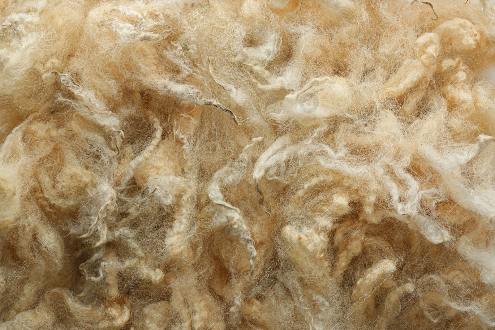 Photo of Soft white wool texture as background, closeup