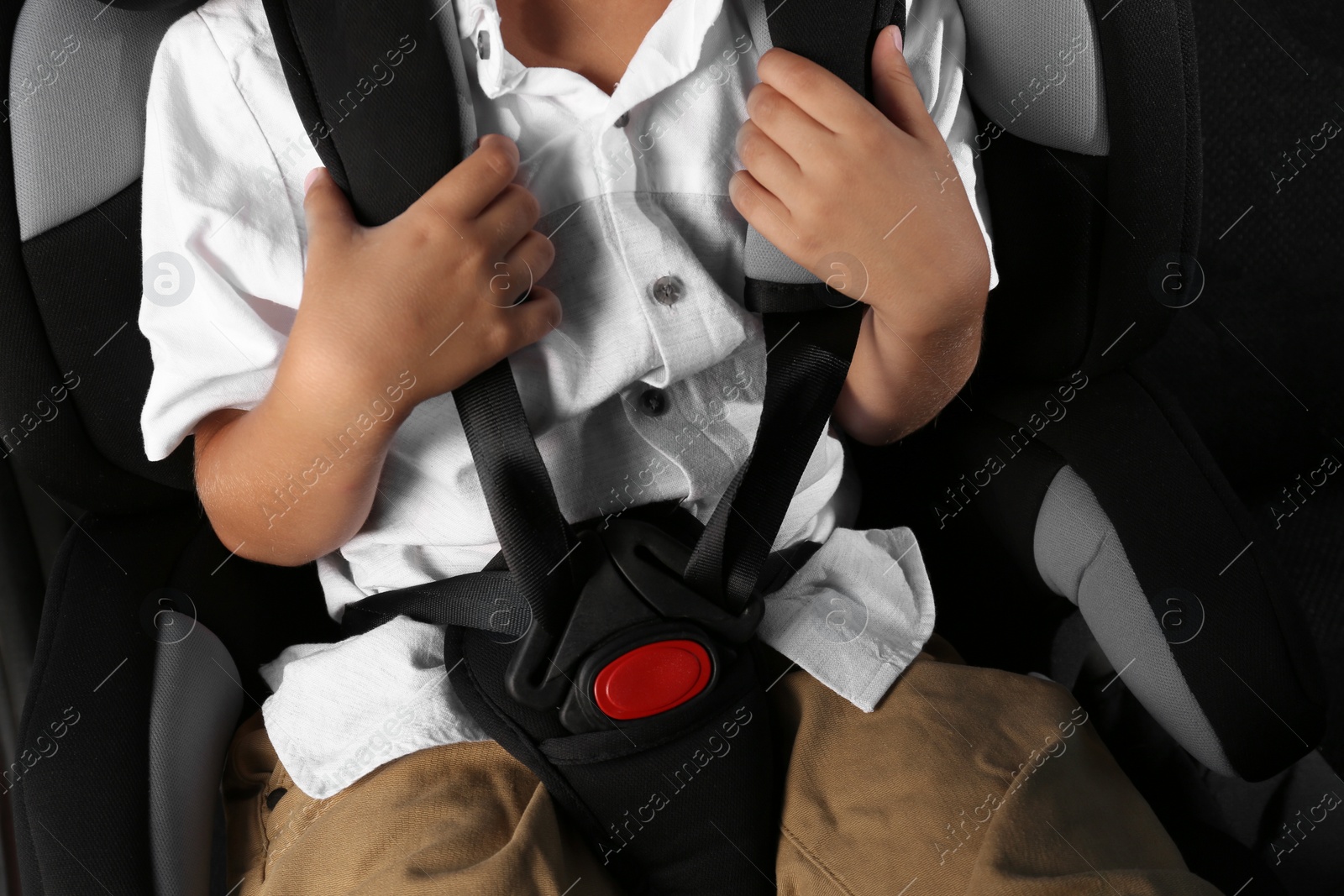 Photo of Little boy fastened with car safety belt in child seat, closeup