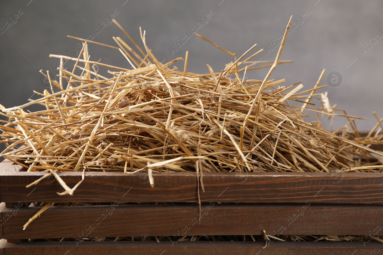 Photo of Dried straw in wooden crate against grey background, closeup