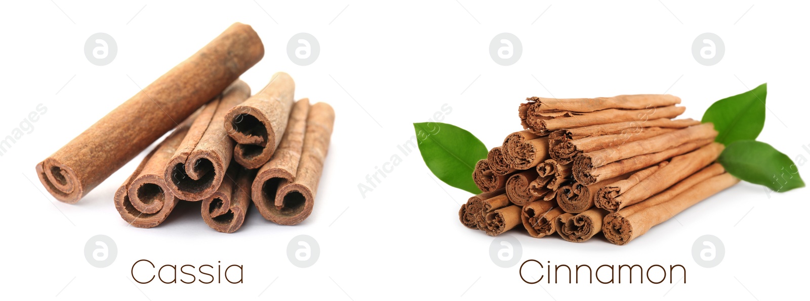 Image of Collage with photos of cassia and cinnamon sticks on white background. Banner design