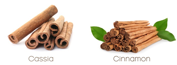Collage with photos of cassia and cinnamon sticks on white background. Banner design