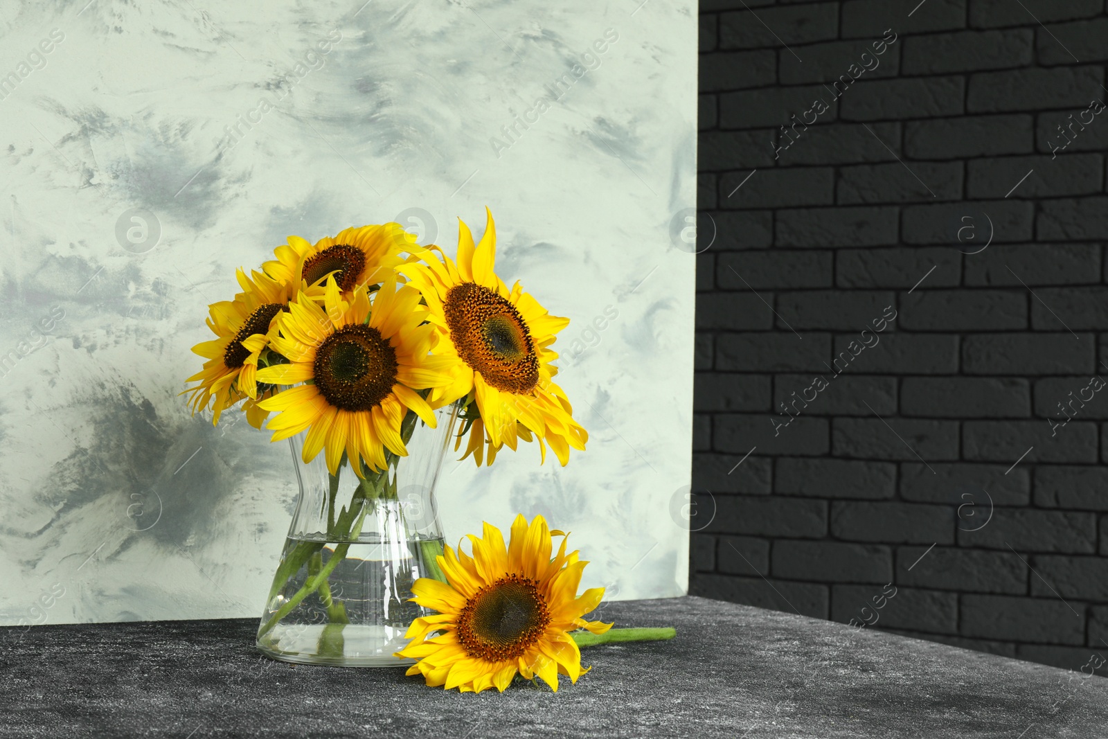 Photo of Glass vase with beautiful sunflowers and double-sided backdrop on table in photo studio