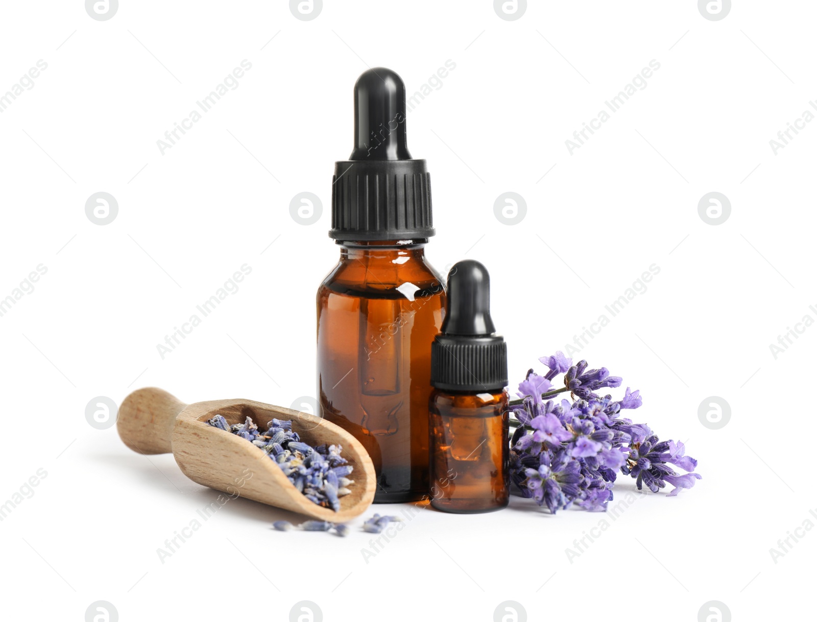 Photo of Bottles of essential oil and lavender flowers on white background