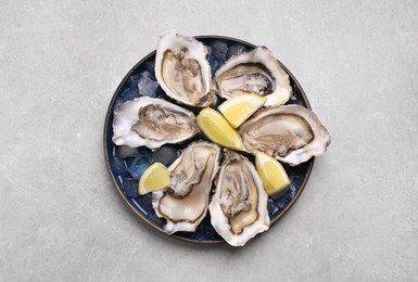 Delicious fresh oysters with lemon slices on light grey table, top view