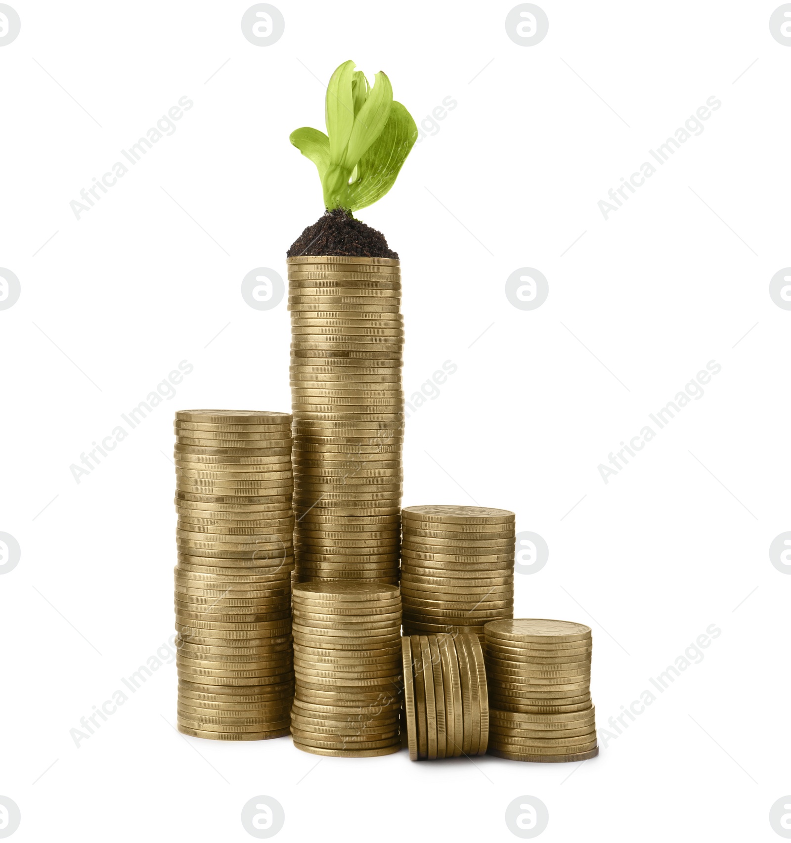 Photo of Stacks of coins and green plant on white background. Investment concept