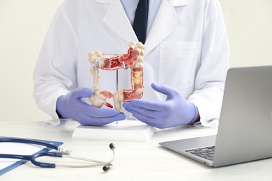 Photo of Doctor with model of large intestine at white wooden table, closeup