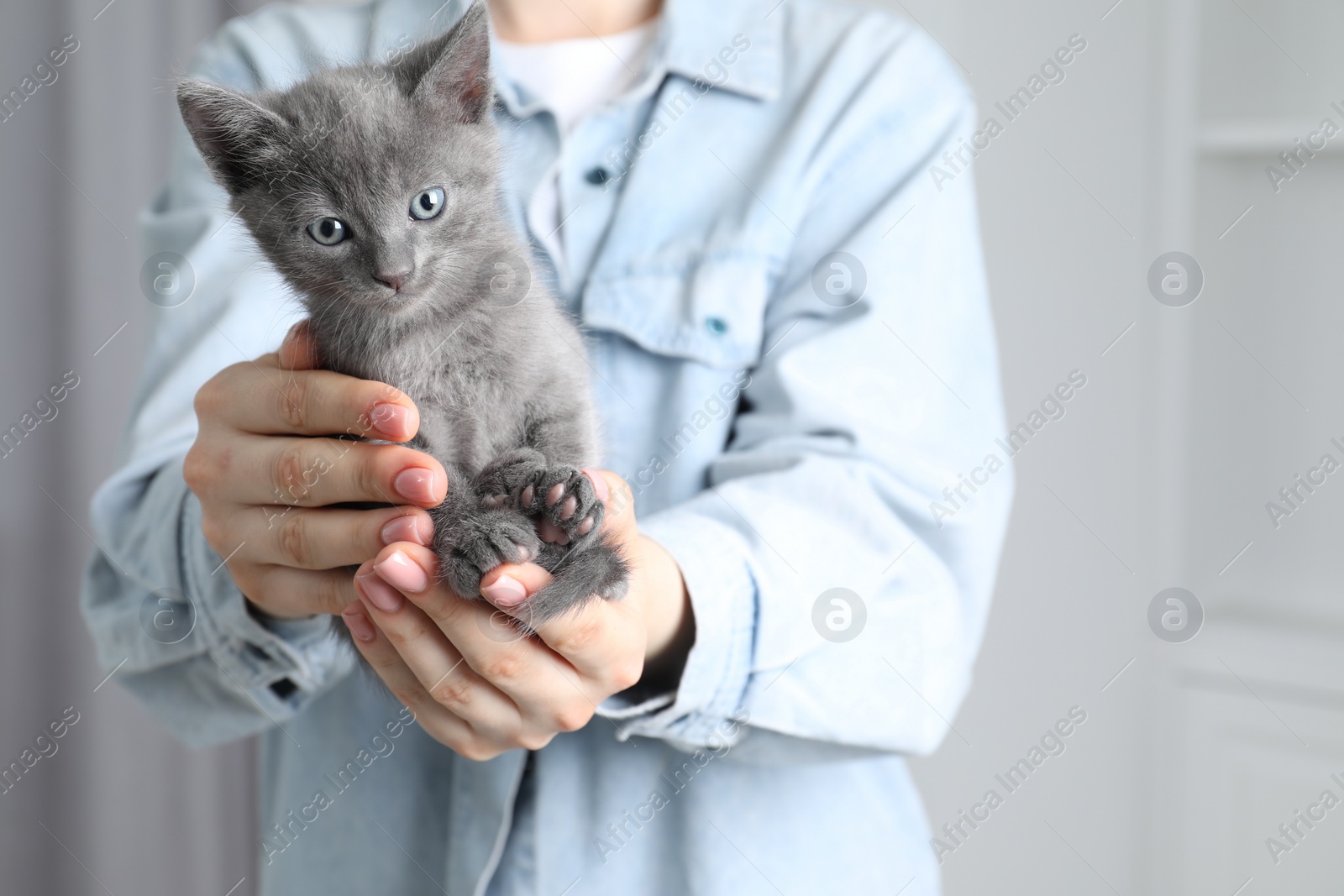 Photo of Woman with cute fluffy kitten indoors, closeup