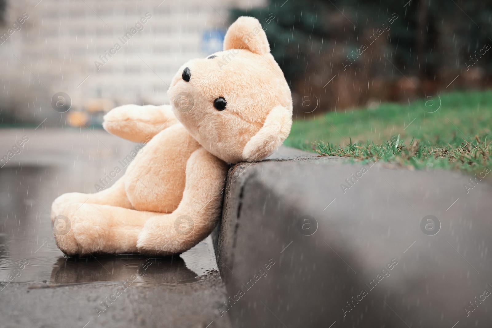 Photo of Lonely teddy bear in puddle on rainy day