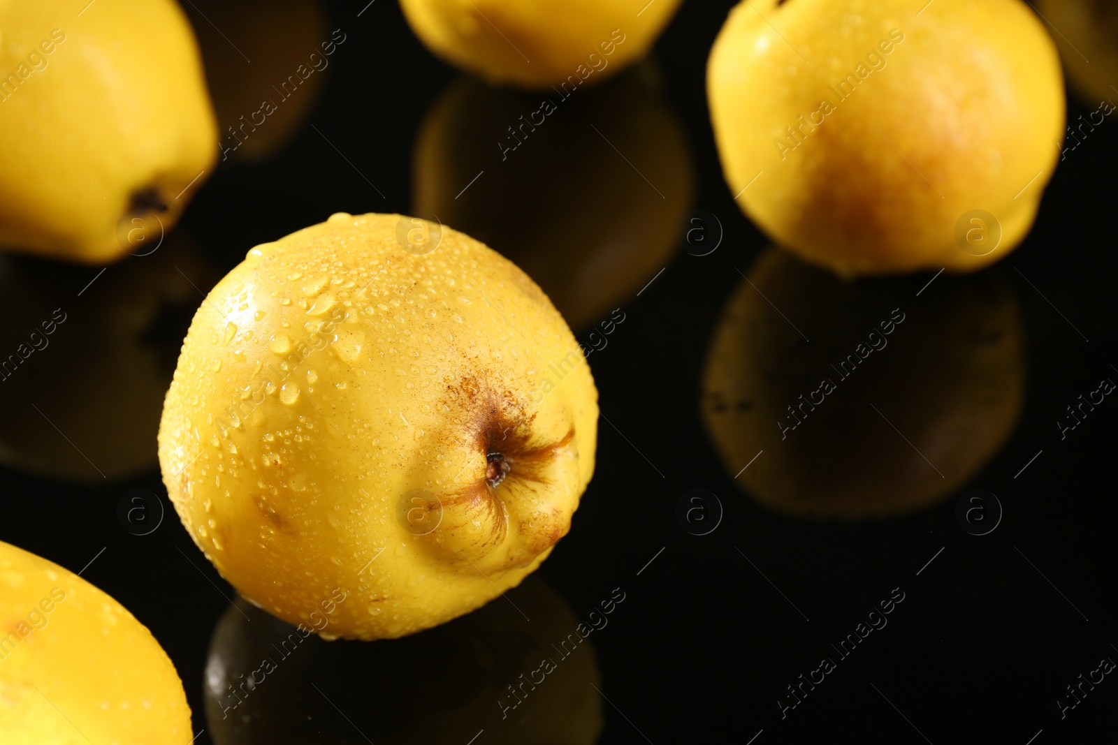 Photo of Tasty ripe quinces with water drops on black mirror surface, closeup