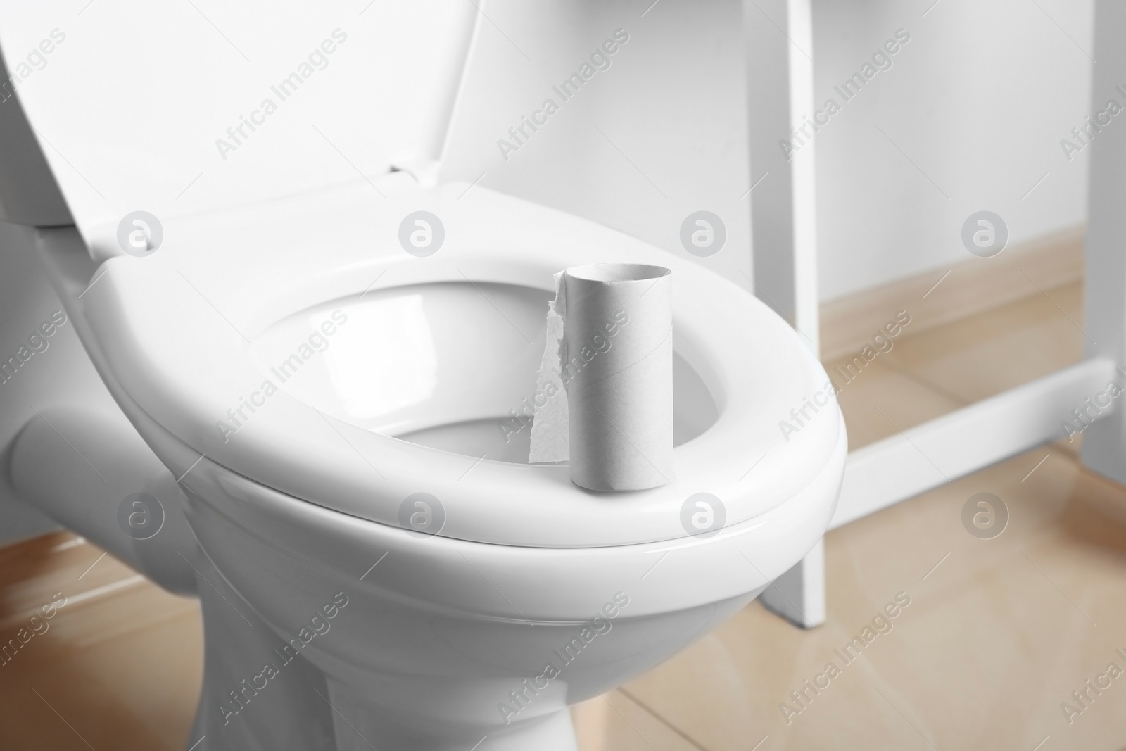 Photo of Empty paper roll on toilet seat in bathroom