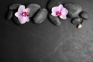 Photo of Stones with orchid flowers and space for text on black  background, flat lay. Zen lifestyle