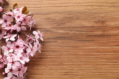 Photo of Blossoming spring tree branch on wooden table, flat lay. Space for text