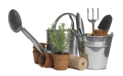 Different modern gardening tools on white background