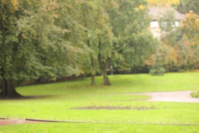 Photo of Blurred view of park on rainy day