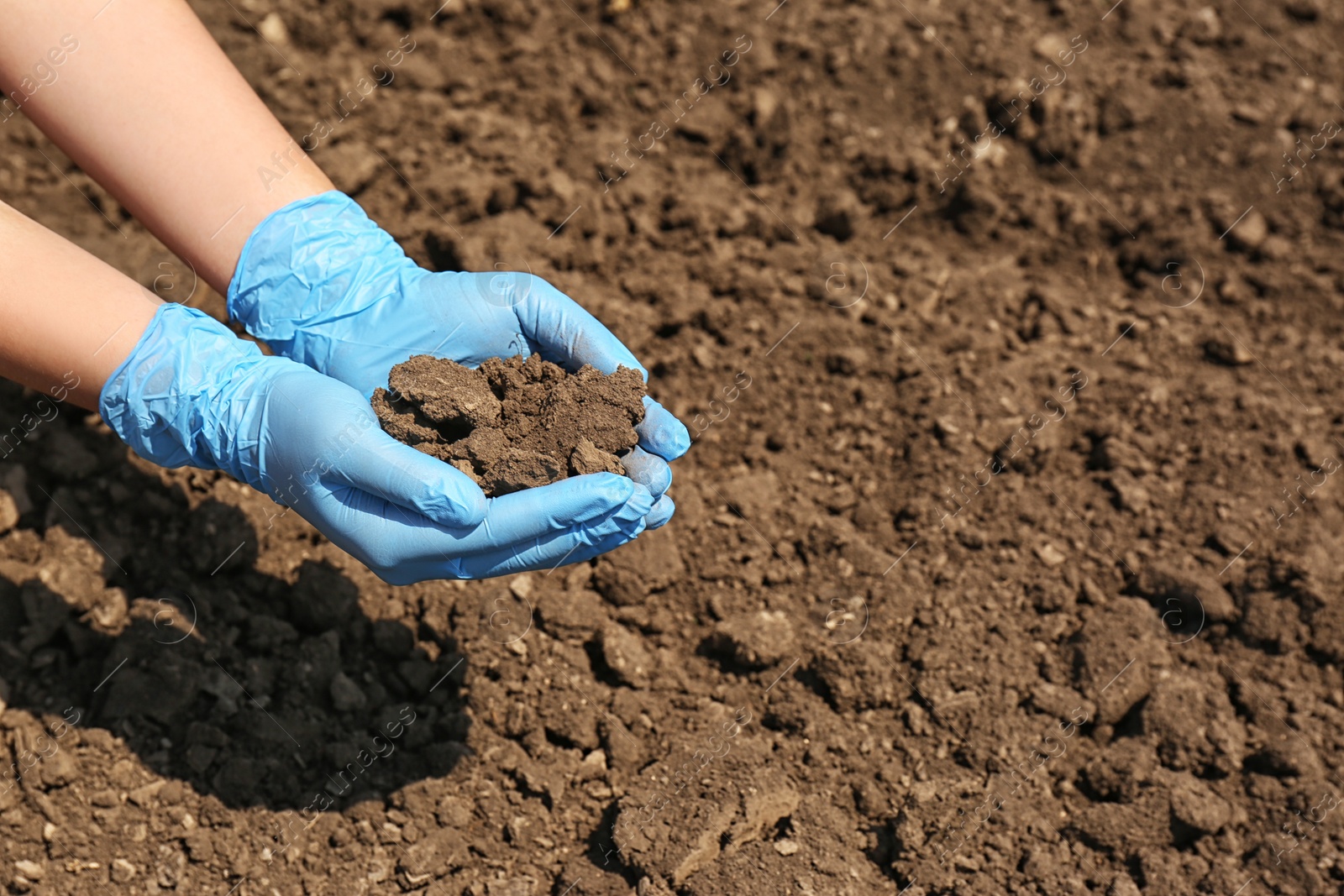 Photo of Woman holding pile of soil outdoors, closeup. Space for text