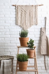 Photo of Different aromatic potted herbs near white brick wall indoors