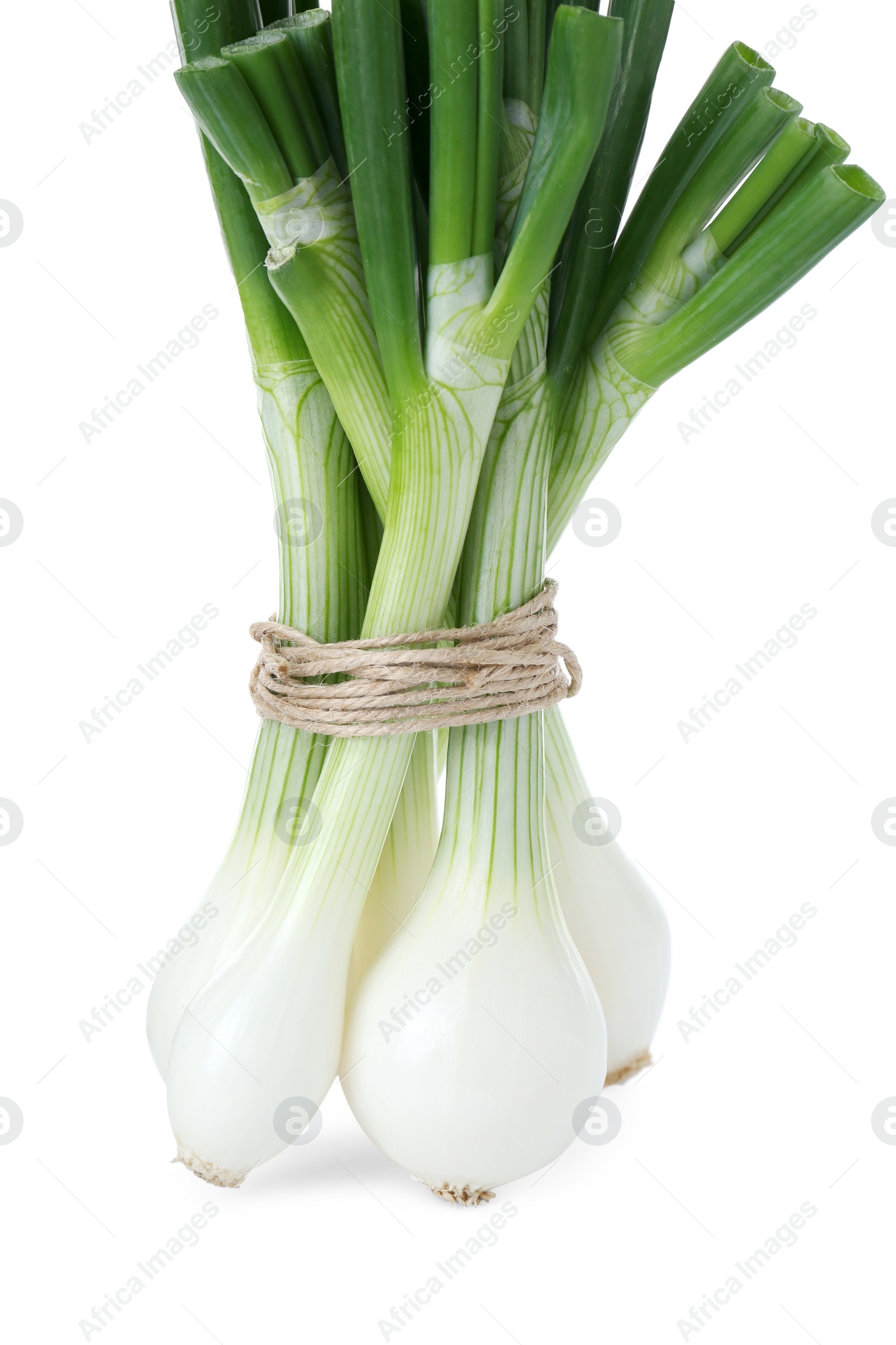 Photo of Bunch of green spring onions isolated on white