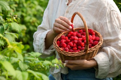 Photo of Woman holding wicker basket with ripe raspberries outdoors, closeup